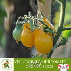 Yellow Bulb Mini Tomato Organic Seeds, 30 Count Yellow Tomato Seed, Cherry Tomato Plant Seeds for Garden and Pot, Non-GMO Heirloom