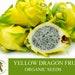 Yellow Dragon Fruit Organic Seeds, 20 Count Natural Pitaya Seed, For Pot And Garden, Non-gmo Heirloom, Open Pollinated