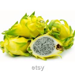 Yellow Dragon Fruit Organic Seeds, 20 Count Natural Pitaya Seed, For Pot and Garden, Non-GMO Heirloom, Open Pollinated