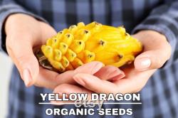 Yellow Dragon Fruit Organic Seeds, 20 Count, Yellow Dragon Fruit Tree Seed, Home Gardening, High Germination, for Garden and Pot, Non-GMO
