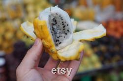 Yellow Dragon Fruit Organic Seeds, 20 Count, Yellow Dragon Fruit Tree Seed, Home Gardening, High Germination, for Garden and Pot, Non-GMO
