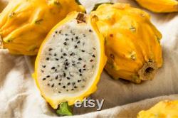 Yellow Dragon Fruit Organic Seeds, 20 Count, Yellow Dragon Fruit Tree Seed, Home Gardening, High Germination, for Garden and Pot, Non-GMO