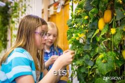 ZipGrow Education Rack