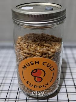 x4 Mushroom Grain Jars Quart 1lb